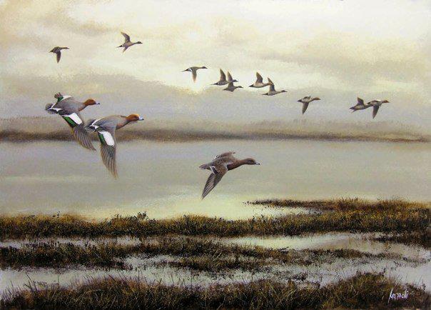 volo di fischioni e codoni 50x70cm.