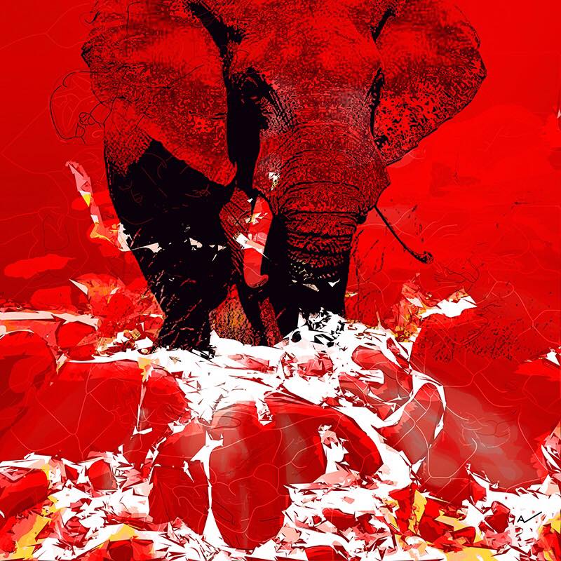 Elephantasia 100x100